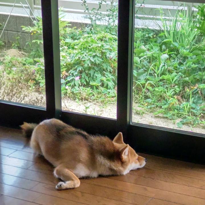 F83afe7a 2d0c 49cb 8d8a 966f8def5e18 1625542870222