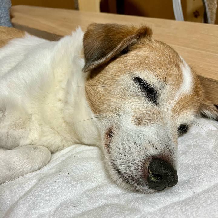 F83b169e 3959 4e33 9e97 99c9596a953a 1718200771862