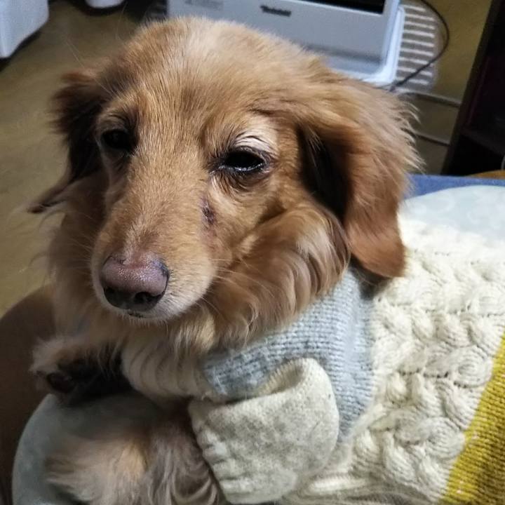 F83b62e6 0c17 4536 9c5d 2dcce1f21dea 1580945954166