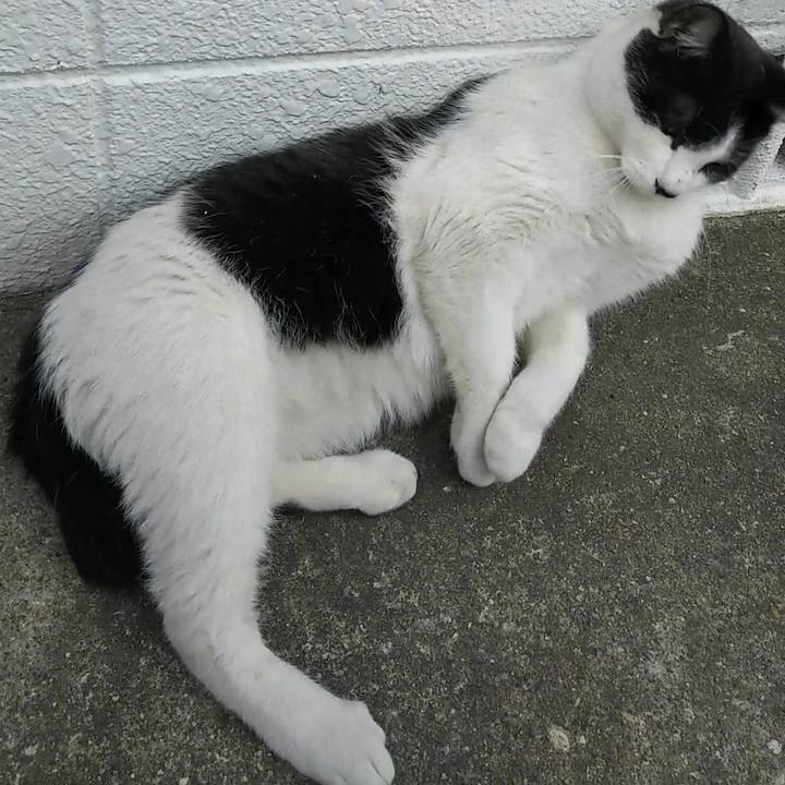 F83b6460 06bb 460d b3b1 610a13478fb3 1549163489862