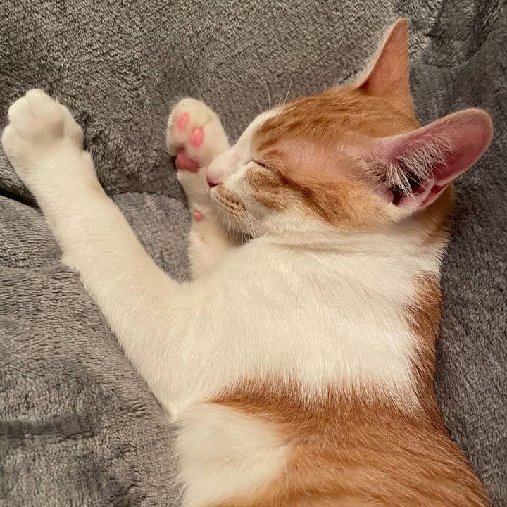 F83b6e8c 781b 4330 b92a 561048cfc62a 1702205402171