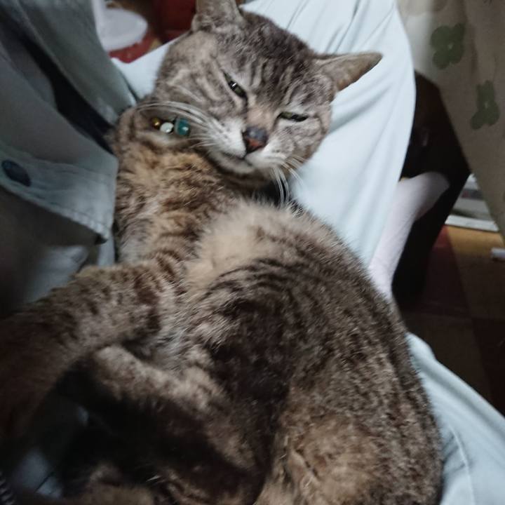 F83b884f 22e0 49a0 9278 441575469bc8 1560203930803