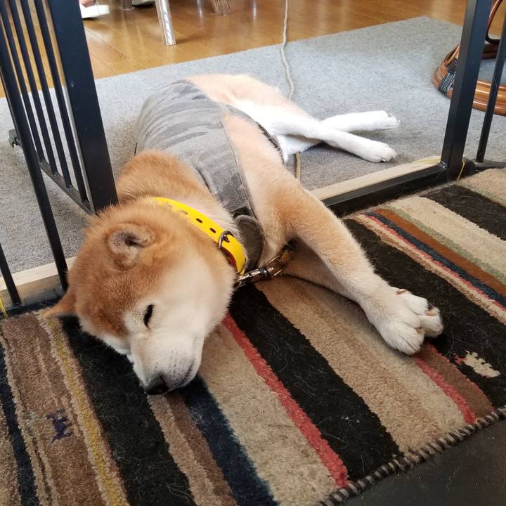 F83bc33f 14dd 4bba ba0c 1d5af80ed168 1677456284322