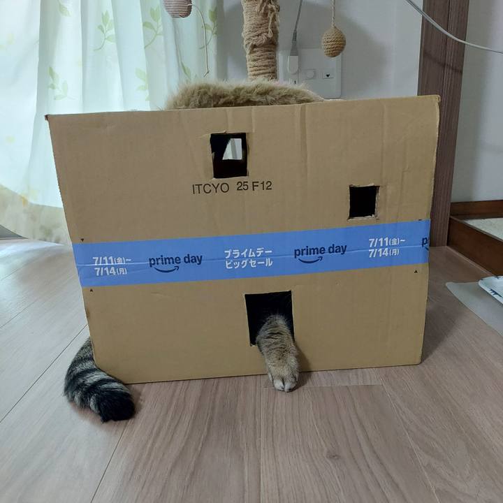 F83bcb57 a1e1 47d9 805c 36a528e3bf95 1751074779811