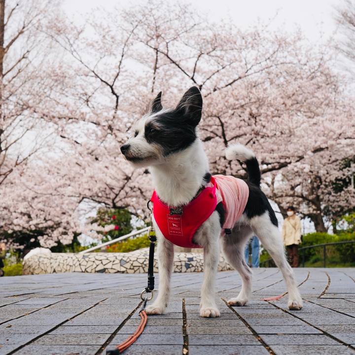 F83bf651 9a89 4666 a9bd 7f85e06fbbb3 1648528259981