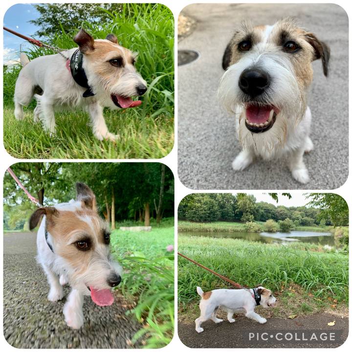 F83c1435 8f26 4ef7 82f9 e7670a1842a9 1659957706393