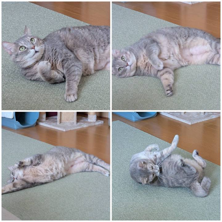 F83c153e 6d2a 4a23 8eb9 034c8e7da7fb 1762673452655