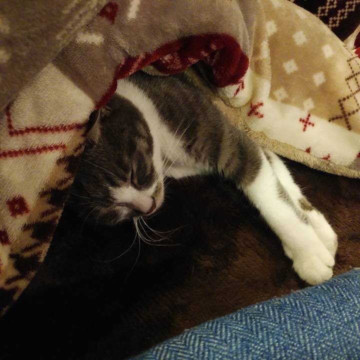 F83c20f9 5cb4 4cd8 8945 62030b5bc5bf 1583252267238