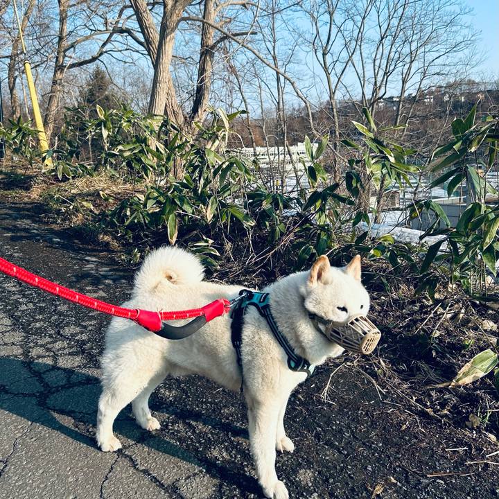 F83c361d 2e0f 4e2d 9cde 82d872557d0d 1744152397402