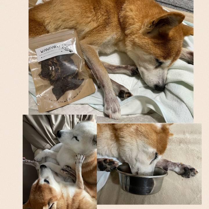 F83c414c c2c5 4c42 bd04 e29e2d80a91e 1629437909041