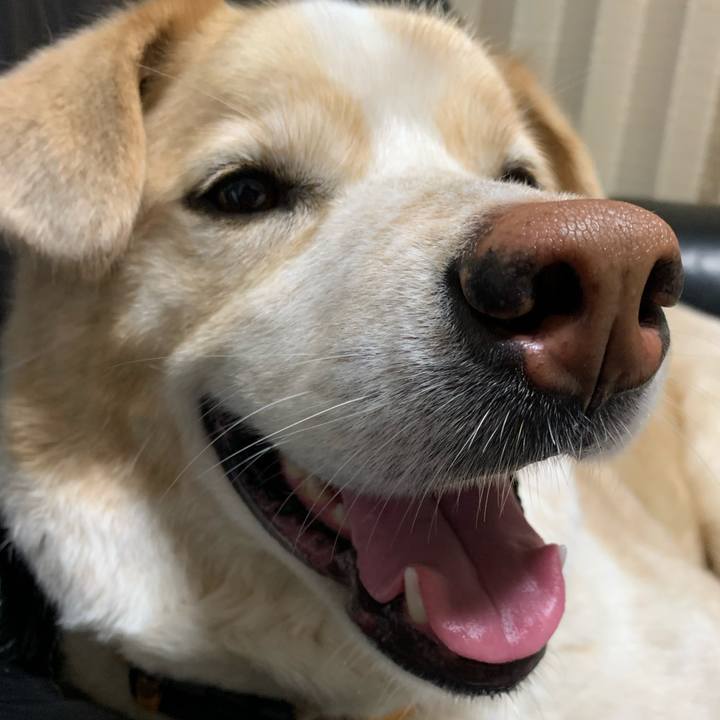 F83c54a9 0a7e 4ddb 8f64 a9aba104985c 1588556043223