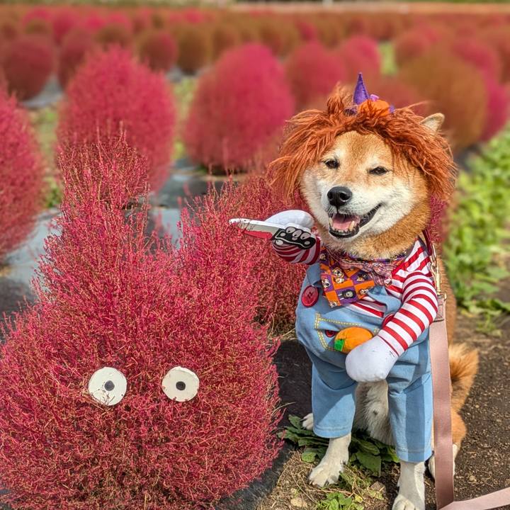 F83c721b ecd5 4aeb a3eb e9cc32e923e9 1730458250566