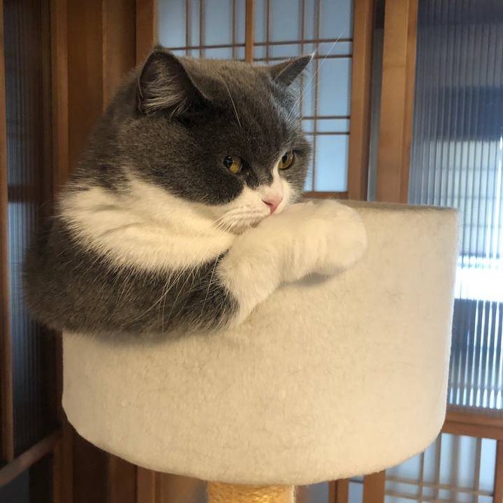 F83c8853 d3c3 4f9f 82c5 db7c03d31252 1574569135355