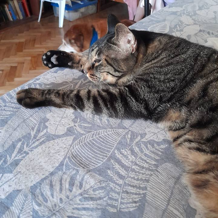 F83ca4b6 88a0 42f3 ab92 b57a8d9555a4 1767114577907