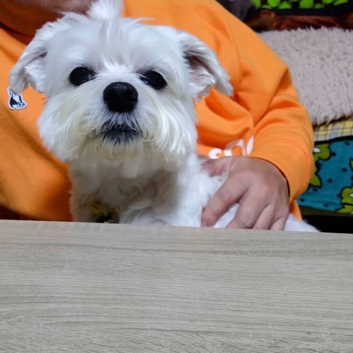 F83cb50c c54c 466a a84b 18f1be22440b 1706099084282