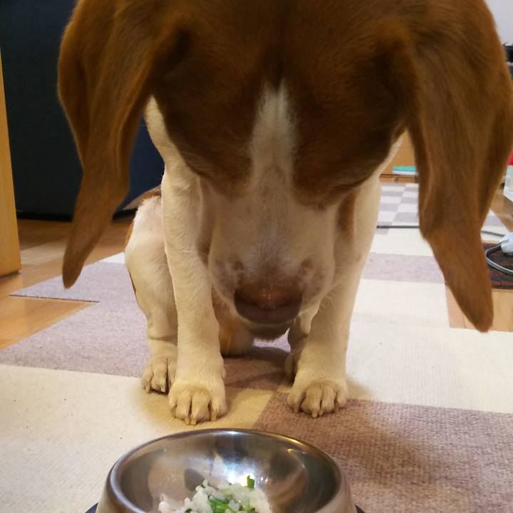 F83cc8a3 fb5e 4918 9bb7 090063ca67e9 1610010621697