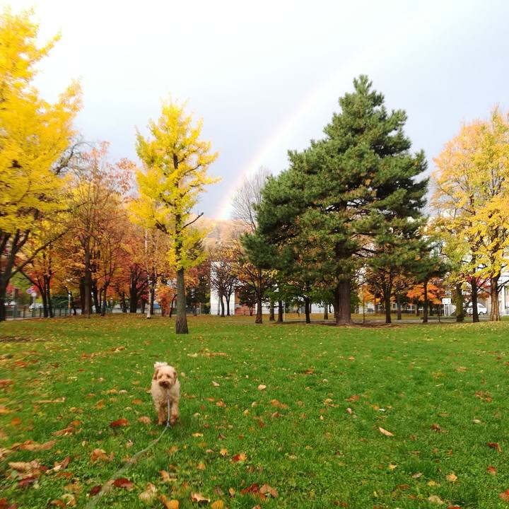 F83d3e97 075b 4835 9e49 bae24fa6d108 1541027426569