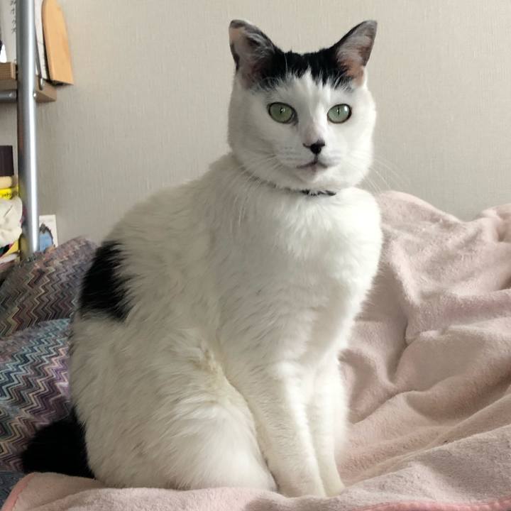 F83d6370 e219 420a bfab 915685ca71cd 1546222996791