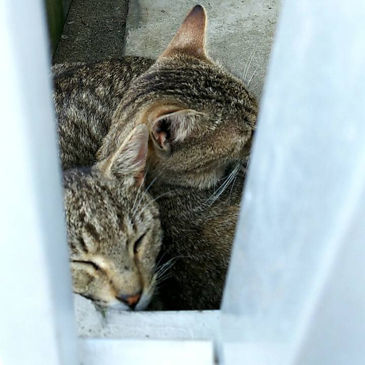 F83db496 da4b 4d5a aa26 50a7c8d0c414 1530422150187