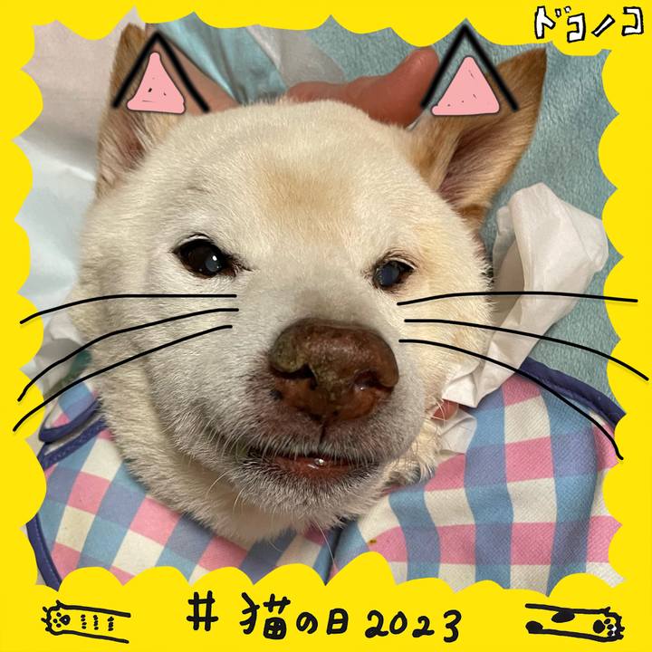 F83dfab9 21c6 4825 adbc 736da88c2d7b 1677013990987