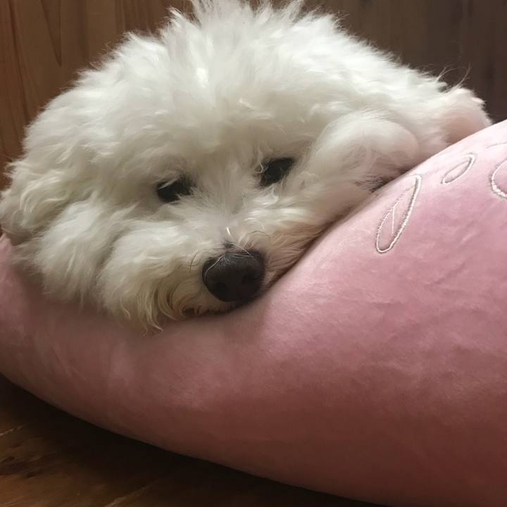 F83e13e5 2e31 43ca a6e0 16506f79c385 1539842525156