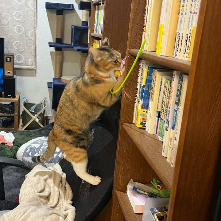 F83e411d fe06 461b bad2 5530aa97e3a7 1677068952817