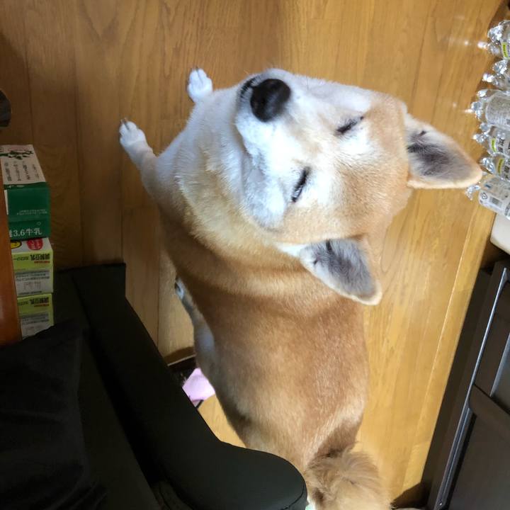 F83e5521 685d 4179 bd53 7bd2659c79d8 1604304396999