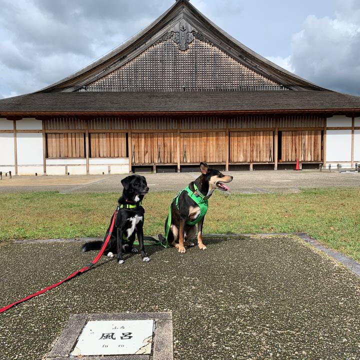 F83e5ebf 0acf 4323 b8c0 9ca7d9294124 1571553731050