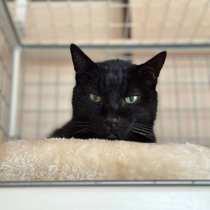 F83eb2a8 7cbd 47d5 9957 ba3e647029f5 1706407969145