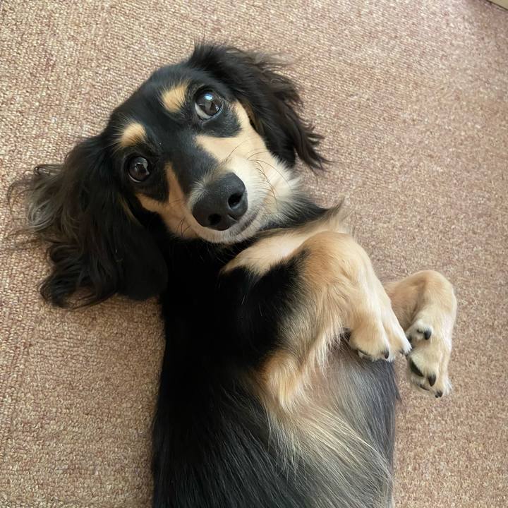 F83ebe54 0253 4f5e 9dfd 81f1b7c120d3 1697155888476