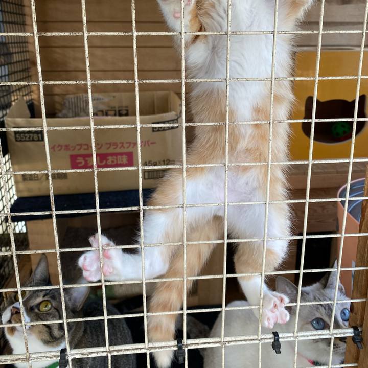 F83ecb66 a974 4685 9a03 68d2786a9890 1666917181786