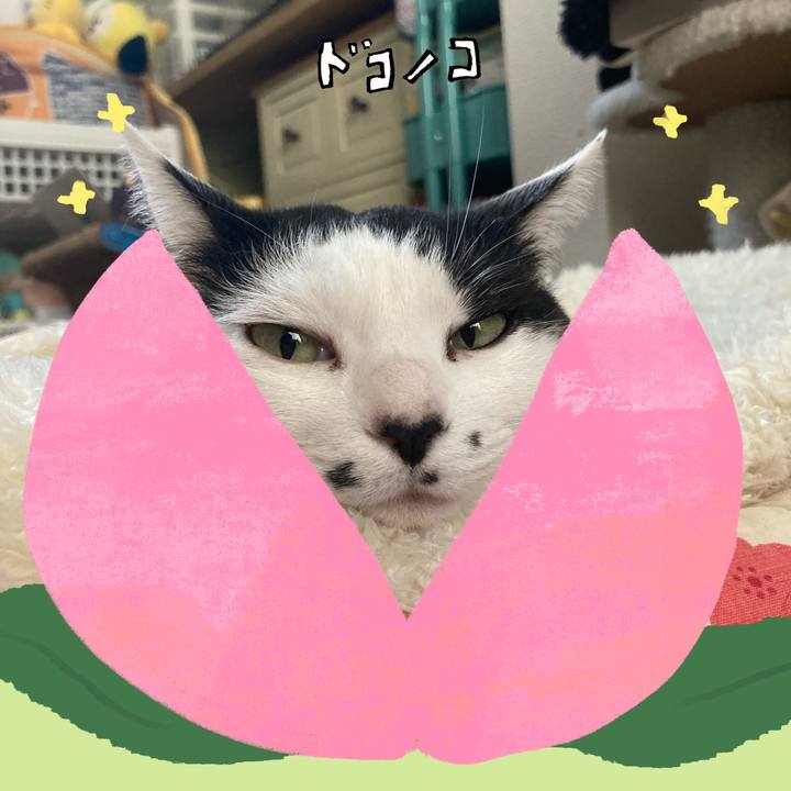 F83f2b6a 62fd 4cc1 8c42 ac39694dd2d3 1771832491519