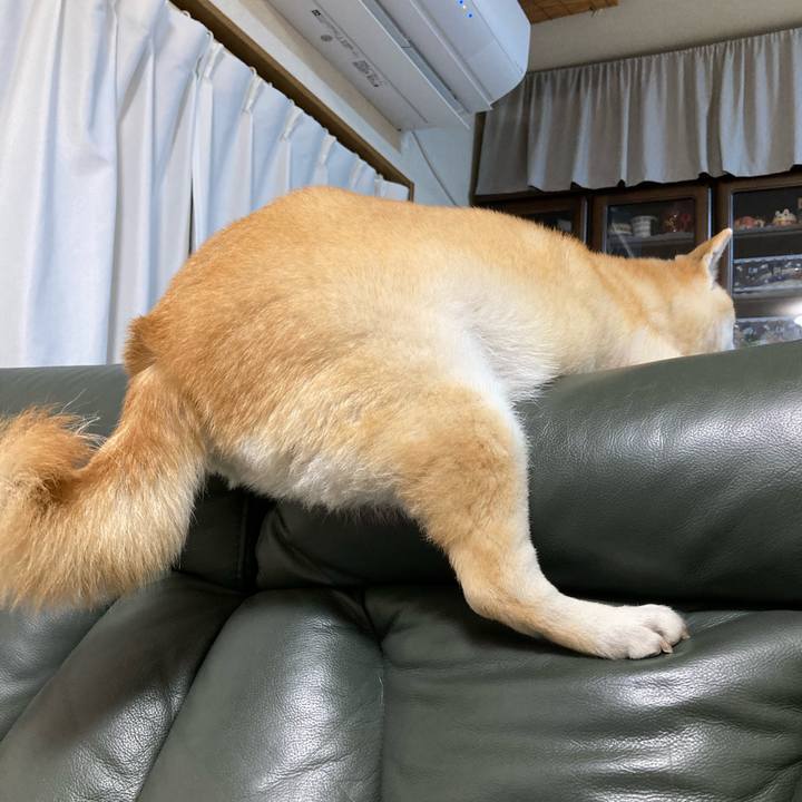 F83f62ae dadd 4f8d 9dd3 818f80ea2aca 1633951964157