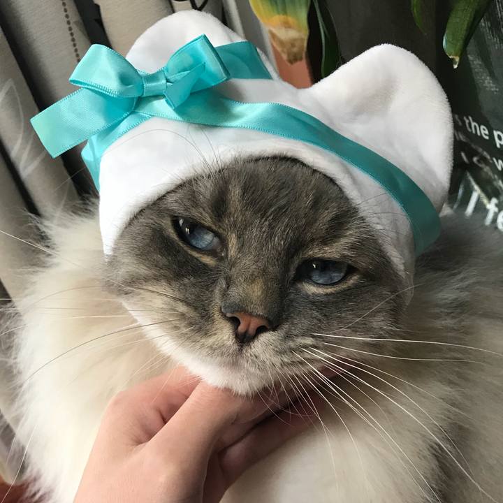 F83fac3d 849e 49b5 b9e8 d7175b587043 1518612964310