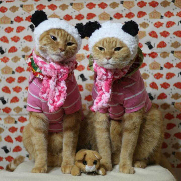 F83fc02f 050e 46d0 a1d7 3bb9c65acdcb 1514446784255