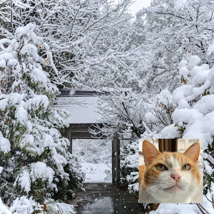 F83feeb1 63bc 49ec bf7d 6e506deb3840 1735528725315