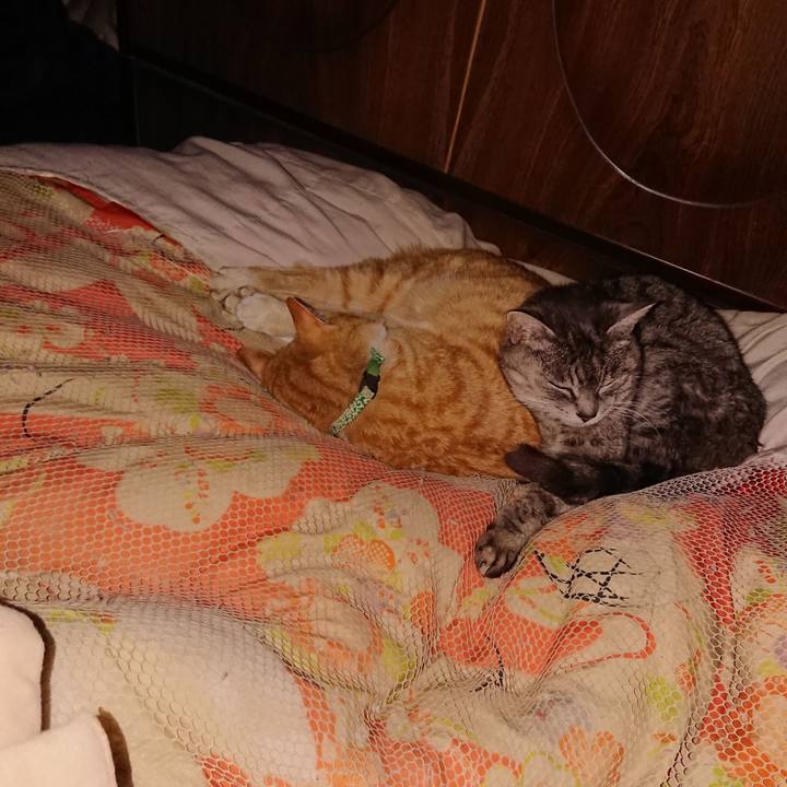 F83ff200 13dd 449c 85de a461ae752b41 1584628198281