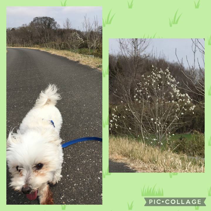 F83ff9da db79 43fe a35f f463c849c487 1648615020528