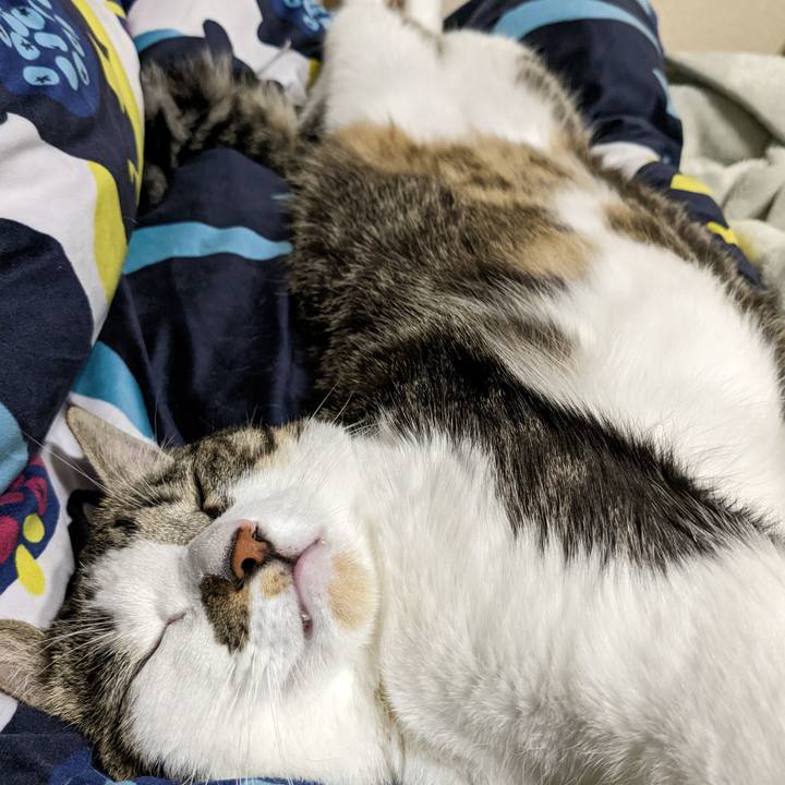 F83ffc87 0342 448e b7dc a06c6bcb109f 1669187041083