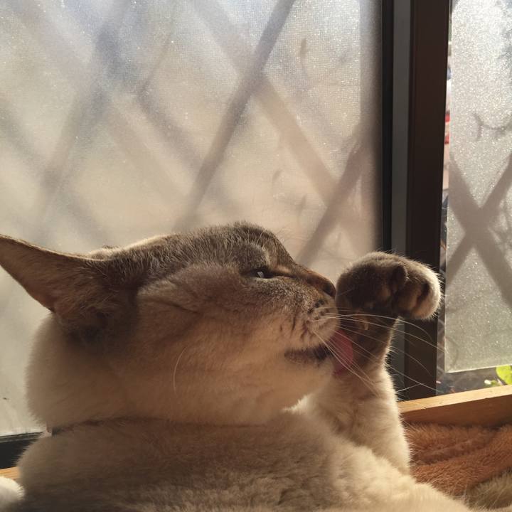 F8400a8d 6800 4476 a4e0 456a517f47c9 1544763171016