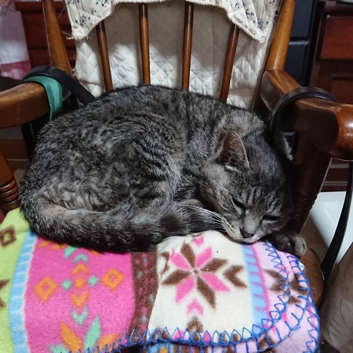 F8401024 e54e 4572 8760 27337016ce05 1578183461422