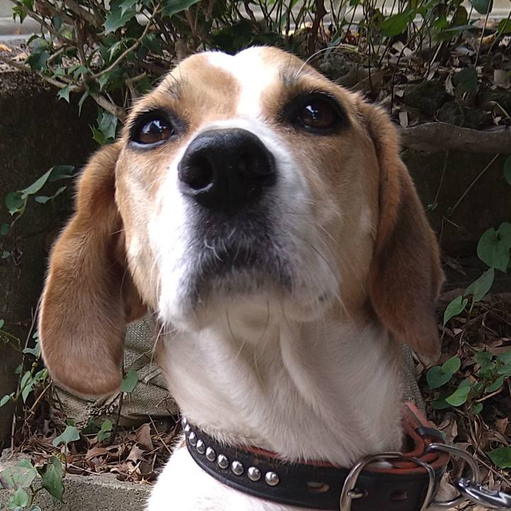 F84022e5 e28a 4fe9 aa51 1631aa51969c 1631766462556