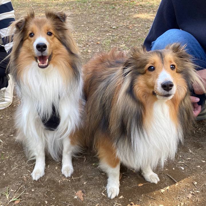 F840300a bd5e 4ad1 8581 c091258ae3a5 1604417520256