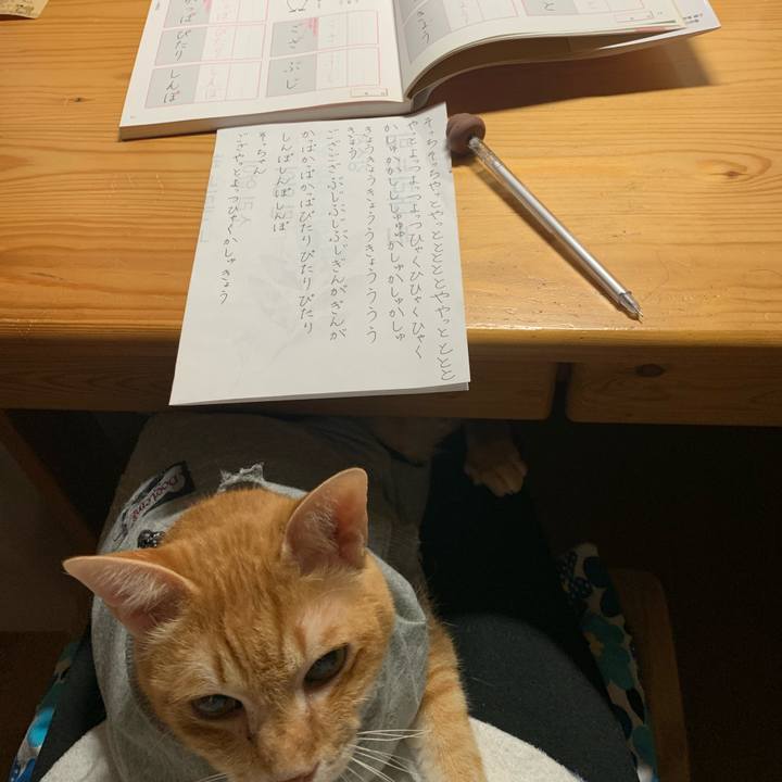 F84033f5 bf5e 43fc 9b8a c21a1815768b 1641911894490