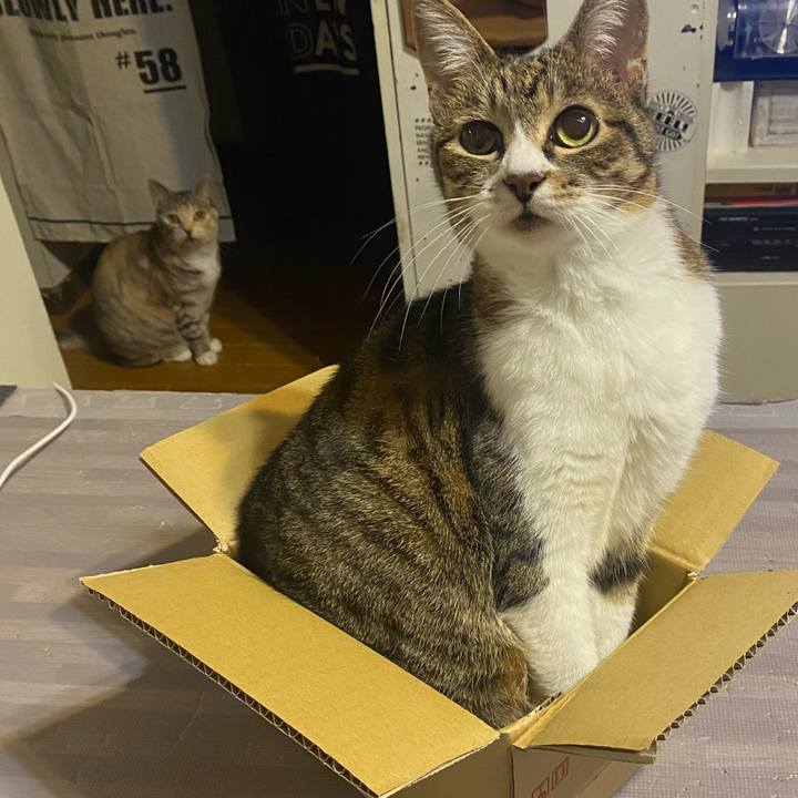 F84034f8 d680 405d 95b1 f19629529a0f 1621699618668