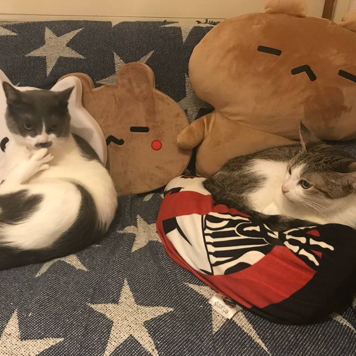 F840449e 9098 4303 b92c 1718d49aadba 1660377939633