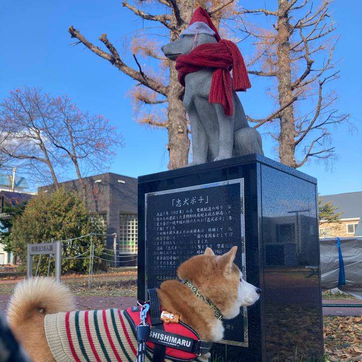 F8405aa0 c31e 4918 9f7a d193f99fa337 1764487881295