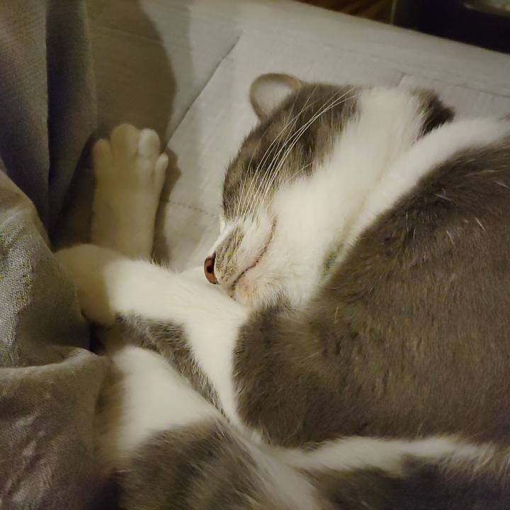 F84084a0 73d4 4f27 85da d307ac30b161 1668304484448