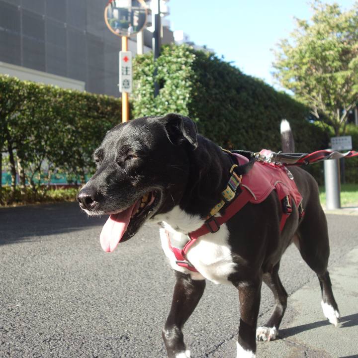 F840ae6c 224c 463b 9632 6a8b1d99c657 1696553267656