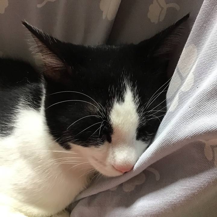 F840c54d 893a 4032 9dff 2036d3714fb5 1635152339709